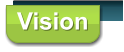 Vision