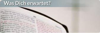 Was Dich erwartet?